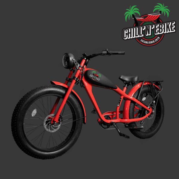 Chill'n'eBike Nº 6