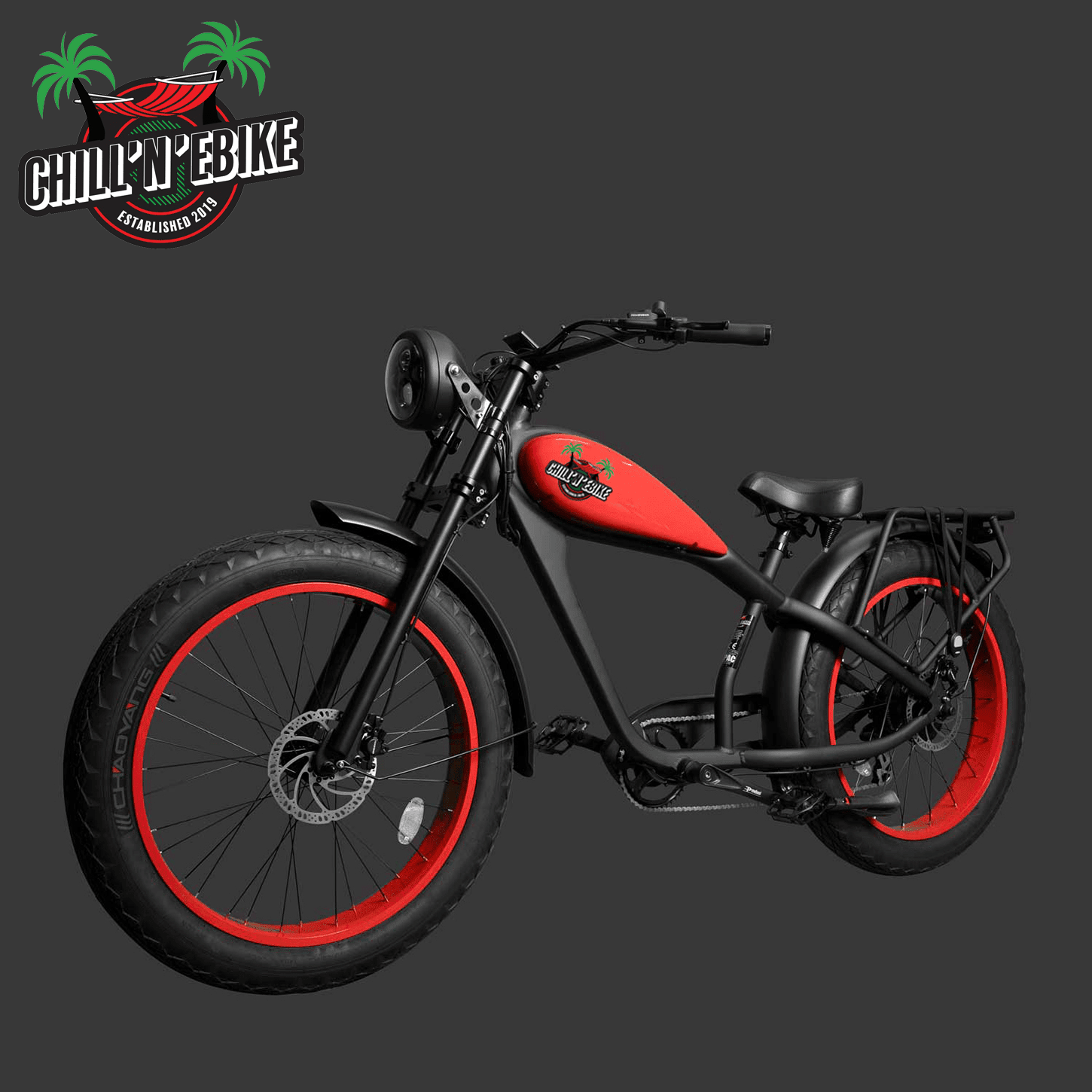 Chill'n'eBike Nº 10